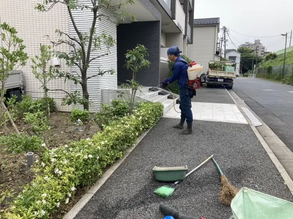 写真